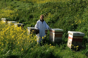 7 Questions for Honey Bee Genetics Researcher, Dr. Julia Jones