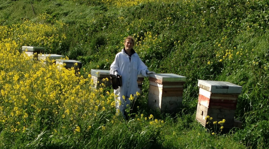 7 Questions for Honey Bee Genetics Researcher, Dr. Julia Jones