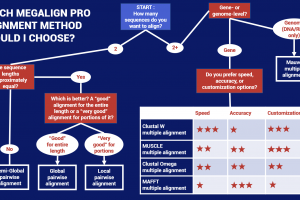Two ways to find the best MegAlign Pro multiple sequence alignment method for your data