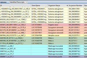 De novo Transcriptome Assembly: SeqMan NGen vs. CLC Genomics Workbench