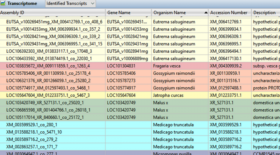 De novo Transcriptome Assembly: SeqMan NGen vs. CLC Genomics Workbench