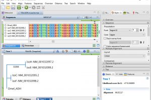 How to Create the Best Phylogenetic Tree for Your Data Using MegAlign Pro