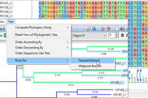 Lasergene 17.2.1 Release Notes