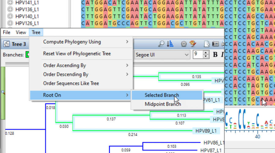 Lasergene 17.2.1 Release Notes