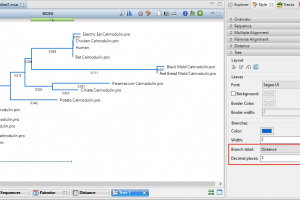 Answers to your “Phylogenetic Tree” webinar questions