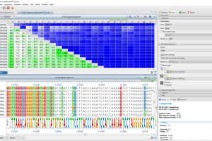 Using the MAFFT alignment algorithm for high-capacity viral genome alignment