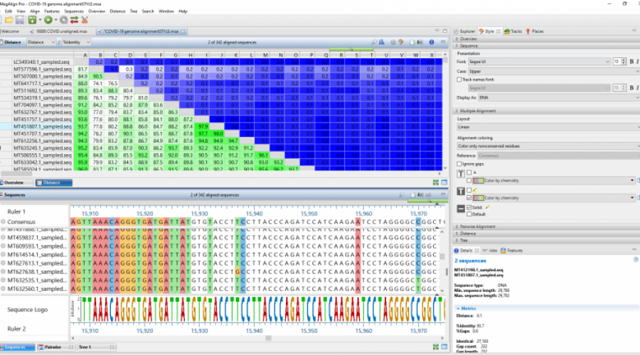 Using the MAFFT alignment algorithm for high-capacity viral genome alignment