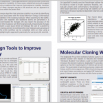 Structure-Guided Molecular Cloning for Improving Site-Directed Mutagenesis and Stability in Protein Design