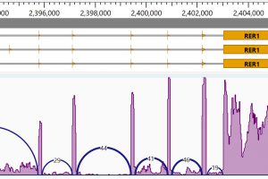 Q&A: Assembling and Analyzing NGS & Long Read Sequences