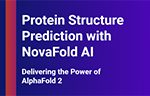 Protein Structure Prediction with NovaFold AI and NovaFold AI-Multimer